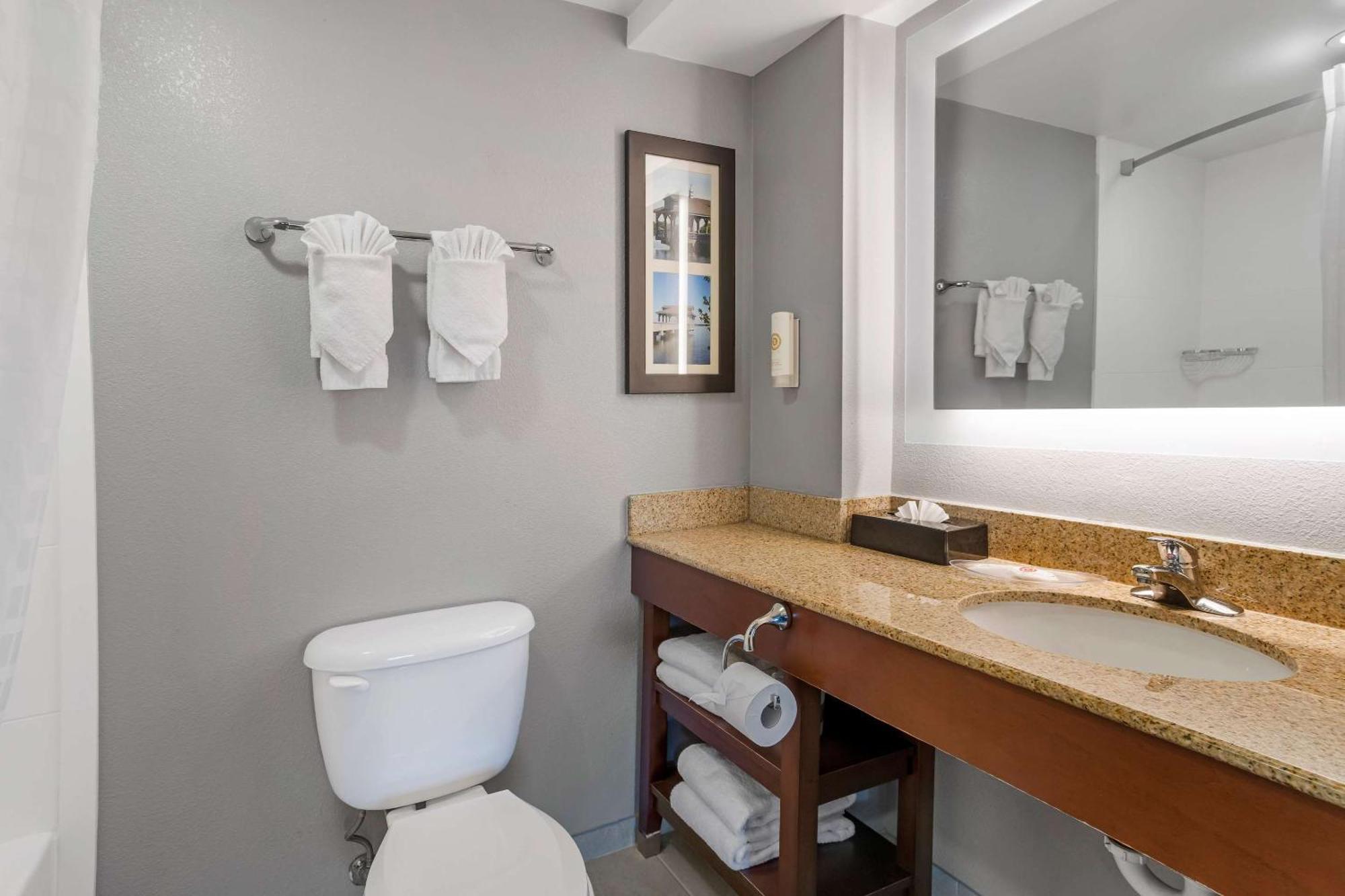 Comfort Suites Near Birkdale Village- Huntersville Luaran gambar